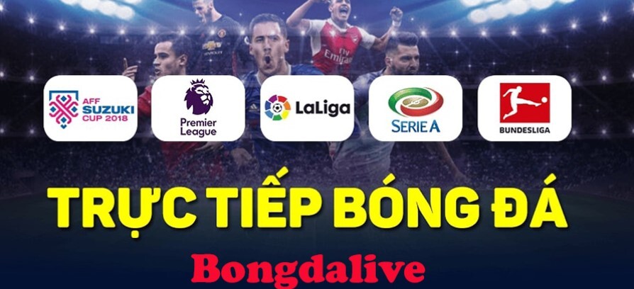 Bongdalive TV cung cấp nhiều giải đấu nổi tiếng
