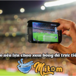 Mitom TV – Kênh xem trực tuyến bóng đá chất lượng full HD